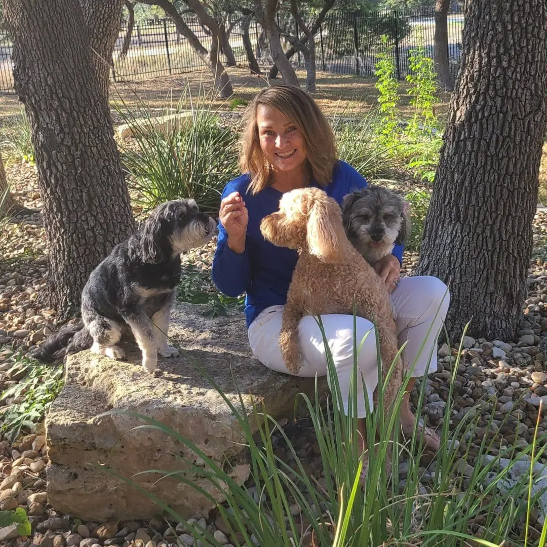 Outdoor scene with woman and dogs