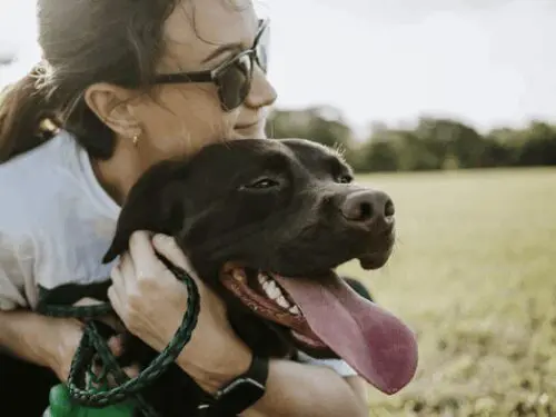 Smiling dog with owner in park