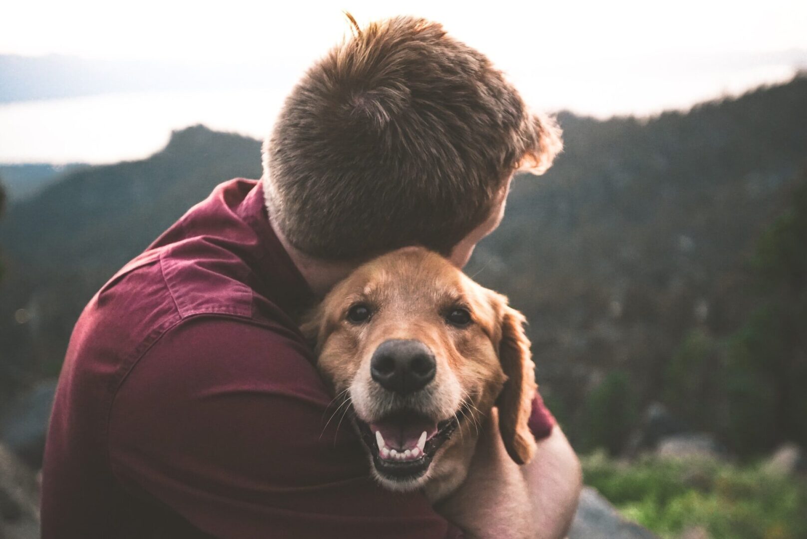 Dog and owner embracing on hilltop