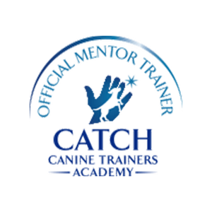 Official Mentor Trainer